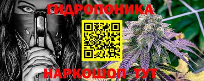 стаф Нальчик