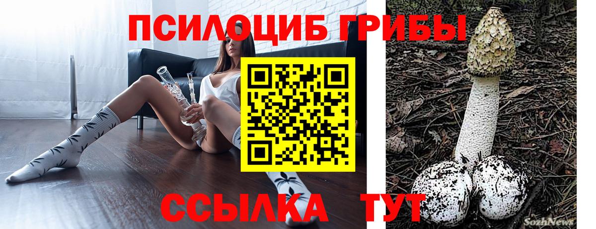 Северск  Галлюциногенные грибы Psilocybe  Псилоцибиновые грибы ЛСД  Вход с VPN 